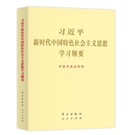 習(xí)近平新時代中國特色社會主義思想學(xué)習(xí)綱要大字 圖書批發(fā)